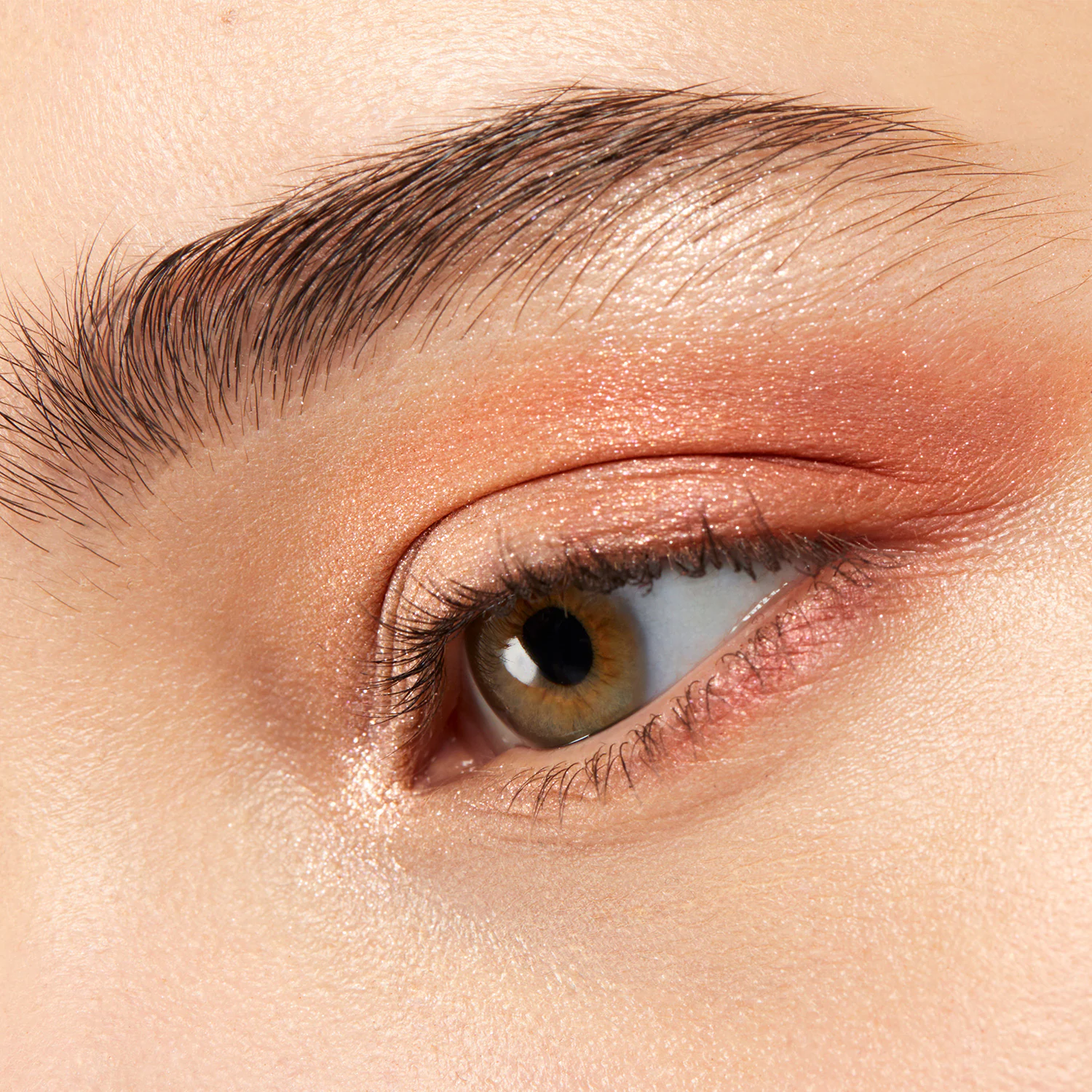 Palette 4 couleurs - Palette de Fards à Paupières